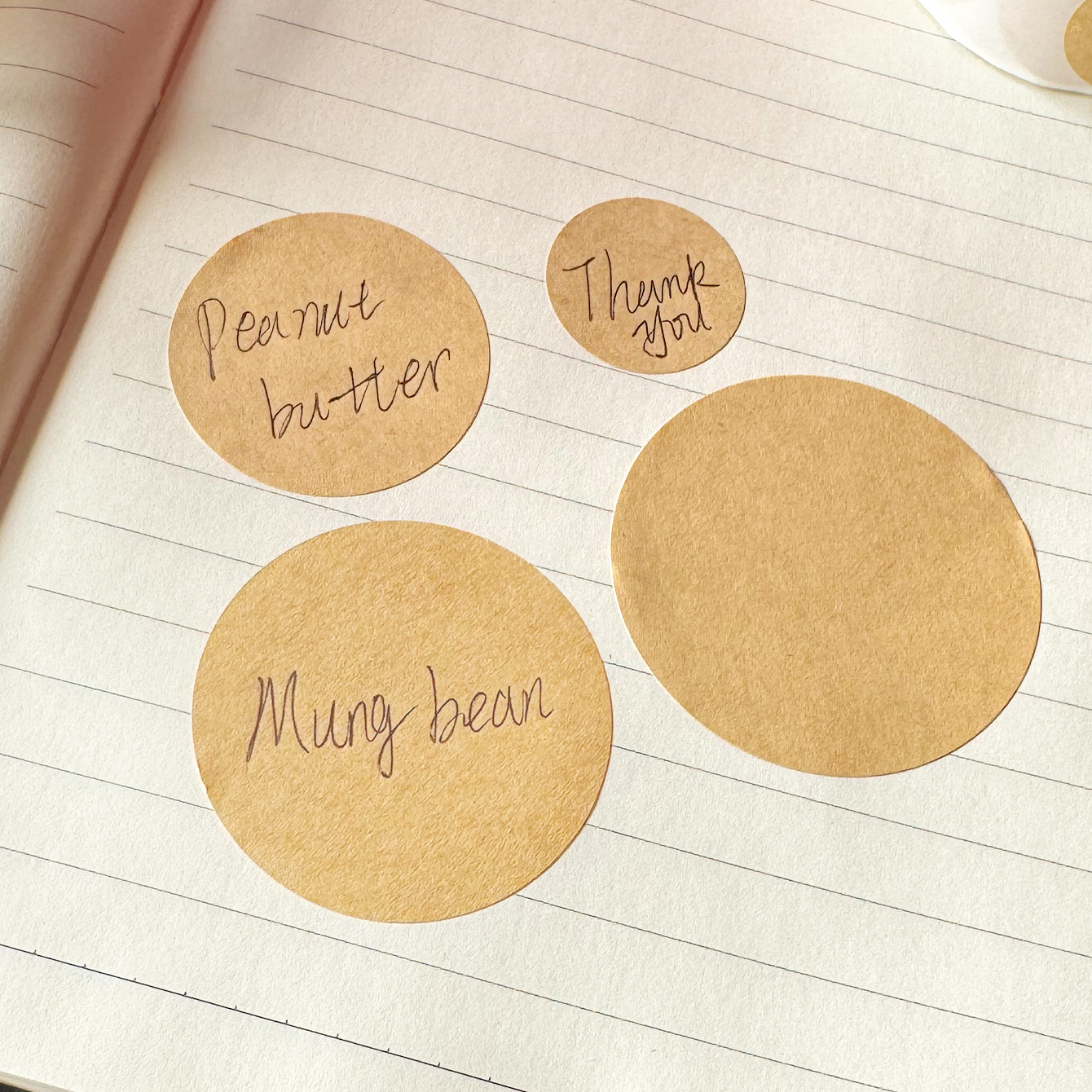 2.5/3.8/4.5/5cm 500PCs/Roll Kr - Kraft Hang Tag recensione e prezzo